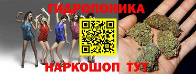 молекула духа Славянск-на-Кубани