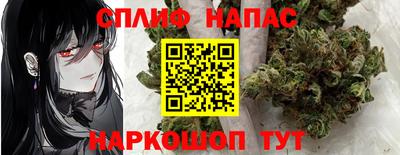 молекула духа Славянск-на-Кубани