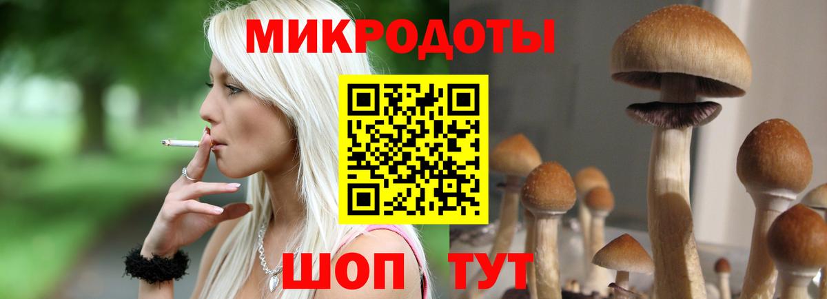 Павловский Посад  Галлюциногенные грибы MAGIC MUSHROOMS  Вход с VPN 